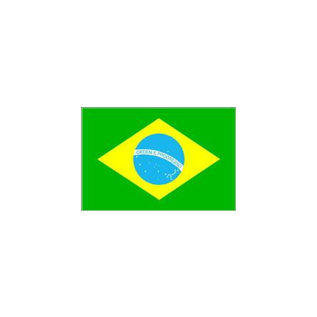 Flag Brazil