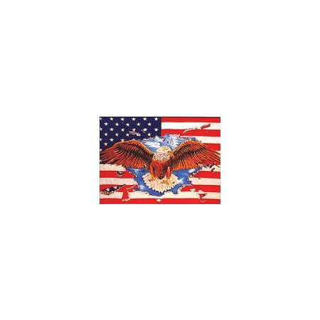 Flag U.S.A. with eagle